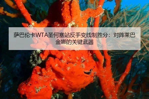 sa-ba-lun-ka-sheng-he-sai-zhan-fan-shou-bian-xian-zhi-sheng-fen-dui-zhen-lai-ba-jin-na-de-guan-jian-wu-qi-2-420.jpg